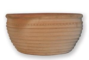 Aristea 20x60cm