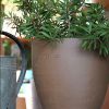 Vase Cactus Grise (Ravel) - Afbeelding 2