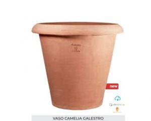 Vaso Camelia 75x67cm