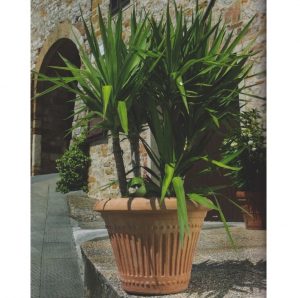 Vaso Monte Oliveto 61cm
