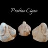 Piedino Cigno - Afbeelding 3