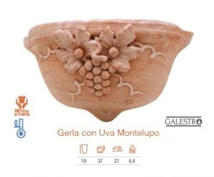Gerla con Uva Montelupo 40cm