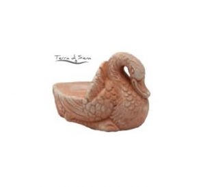 Piedino Cigno