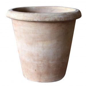 Camelia 42cm