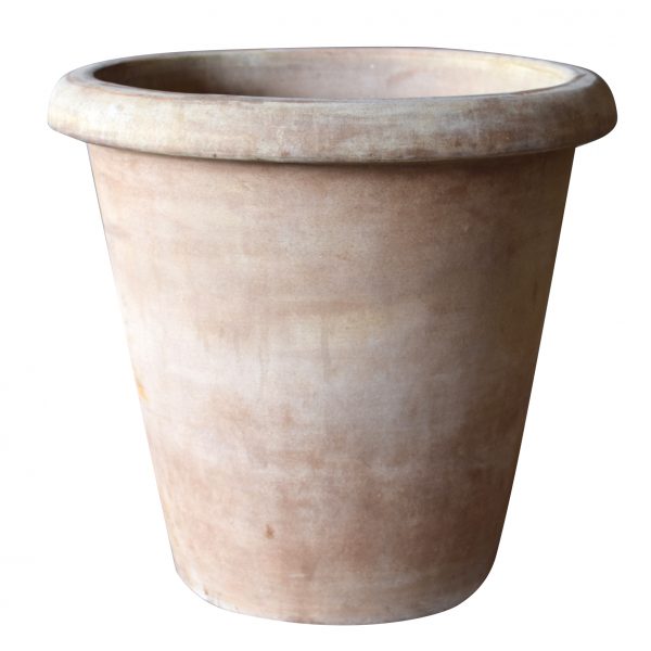 Vaso Camelia