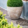 Terracotta "Eggpot" - Afbeelding 2