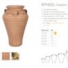 Pithos (Terraneo) - Afbeelding 2