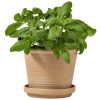 Como + schotel (Terraneo-Herbs) - Afbeelding 3