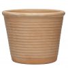 Como + schotel (Terraneo-Herbs) - Afbeelding 2