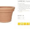 Varese (Terraneo) - Afbeelding 2