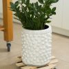 Plantentrolley 35cm - Afbeelding 3