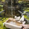 Terracotta vogelbadje - Afbeelding 2
