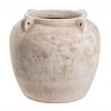 Amfora Petrosa - Afbeelding 2