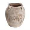 Amfora Petrosa - Afbeelding 4