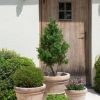 Vaso Doppio Bordo Liscio MTerra (Set van 3) - Afbeelding 4